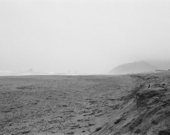 Gold Bluffs Beach Photo Print, California, Photography, Home Decor, Wall Art, Black and White Print, Mat Mounted Print, 35mm Film - 024