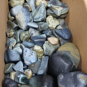 1.5 lb. Rough Tumbled Set -  Leland Blue Slag Glass - Lovely and Historical