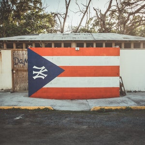 Puerto Rico Wall Art, Puerto Rican Art,  Nuyorican Flag Digital Print (18&quot;x12&quot;)