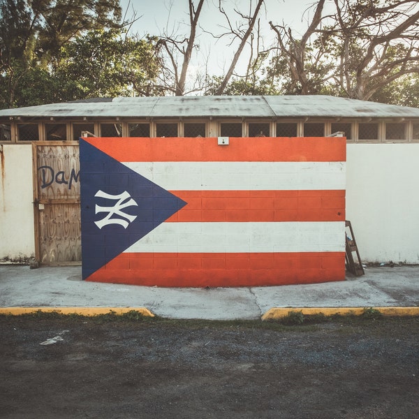 Puerto Rico Wall Art, Puerto Rican Art,  Nuyorican Flag Digital Print (18"x12")