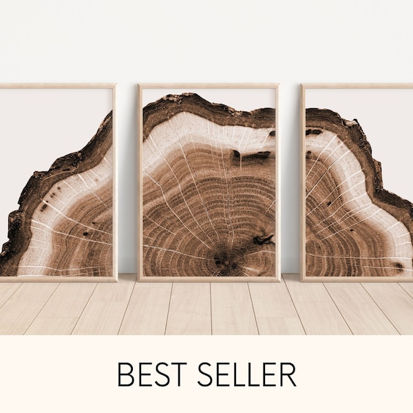 Tree Ring Art Etsy