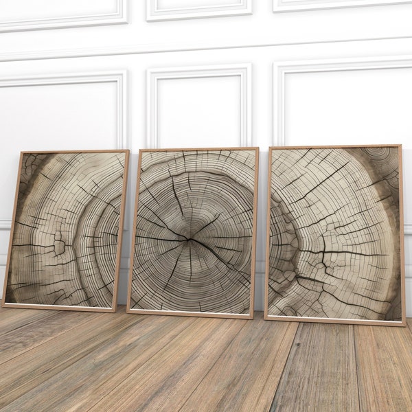 Tree Ring Wall Art - Etsy