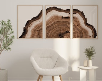 Set of 3 Woodcut Print Tree Ring Wall Art Modern Neutral Boho Decor Brown Tree Stump Printable Rustic Decor Cabin Art Tree Ring Print