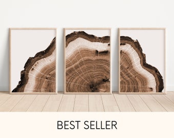 Woodcut Print Tree Ring Wall Art Set of 3 Modern Prints Neutral Boho Decor Brown Tree Stump Printable Tree Ring Nordic Abstract Art Print