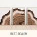 Rustic Tree Ring Wall Art Set of 3 Piece Wall Art Prints Brown Tree ...
