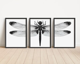 Dragonfly Print Set of 3 Piece Wall Art Black & White Dragonfly Cabin Decor Beach House Decor Nursery Wall Art Natural Modern Art Prints