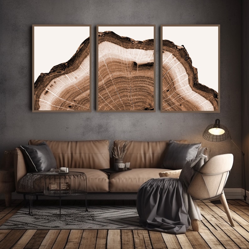 Rustic Tree Ring Wall Art Set of 3 Piece Wall Art Prints Brown Etsy