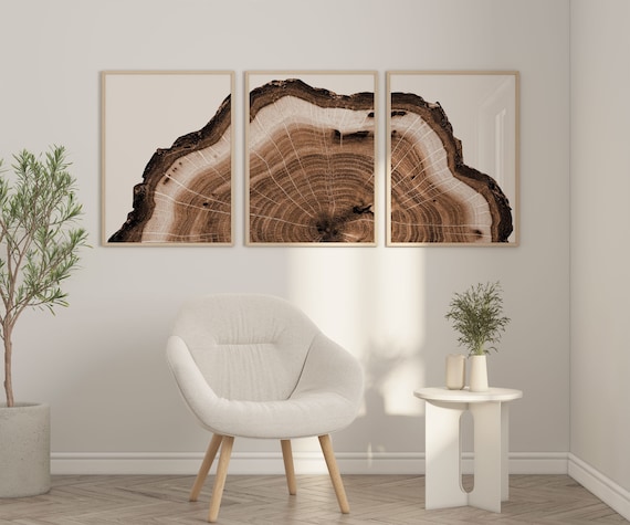 Set of 3 Woodcut Print Tree Ring Wall Art Modern Neutral Boho Decor Brown Tree Stump Printable Rustic Decor Cabin Art Tree Ring Print