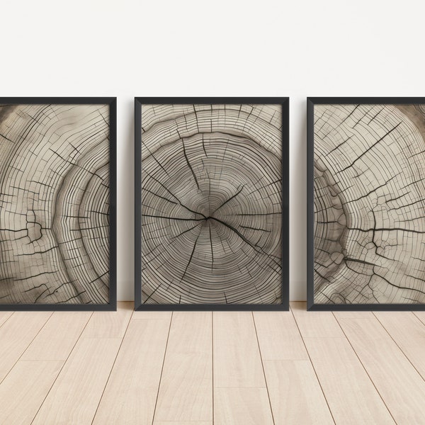 Rustic Tree Rings Wall Art Set of 3, Printable Boho Decor, Neutral Minimalist Modern Extra Large Wall Art, Grey Brown Wood Tree Ring Print