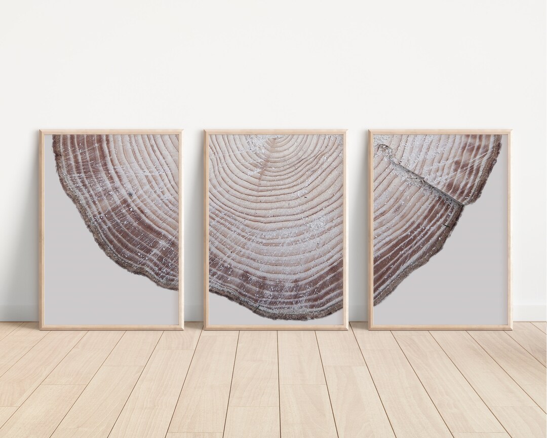 Tree Ring Print Wall Art Set of 3 Beige Printable Boho Decor Neutral ...