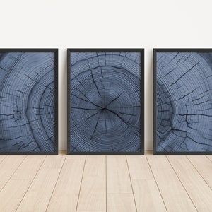 May include: Three framed prints of a close-up of a tree's rings, each with a different section of the rings. The rings are a dark blue color.