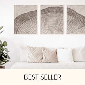 Tree Ring Wall Art Set of 3, Printable Modern Art Prints, Wood Tree Rings Print, Rustic Stone Gray, Neutral Boho Decor, Cabin Beach House