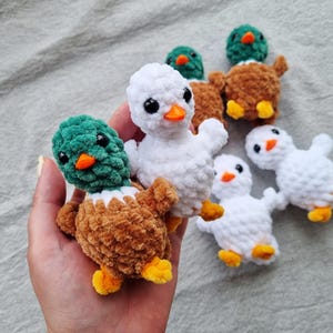 May include: A collection of handmade crochet ducklings in various colors. The ducklings feature white, brown, and green bodies with orange beaks and yellow feet. The plush toys are soft and cuddly, perfect for children.