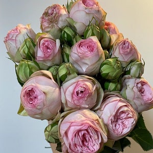 May include: A bouquet of pink roses with tightly packed petals and green buds. The roses have a soft, blush color with darker pink centers. The arrangement is fresh and vibrant, perfect for a gift or home decor.
