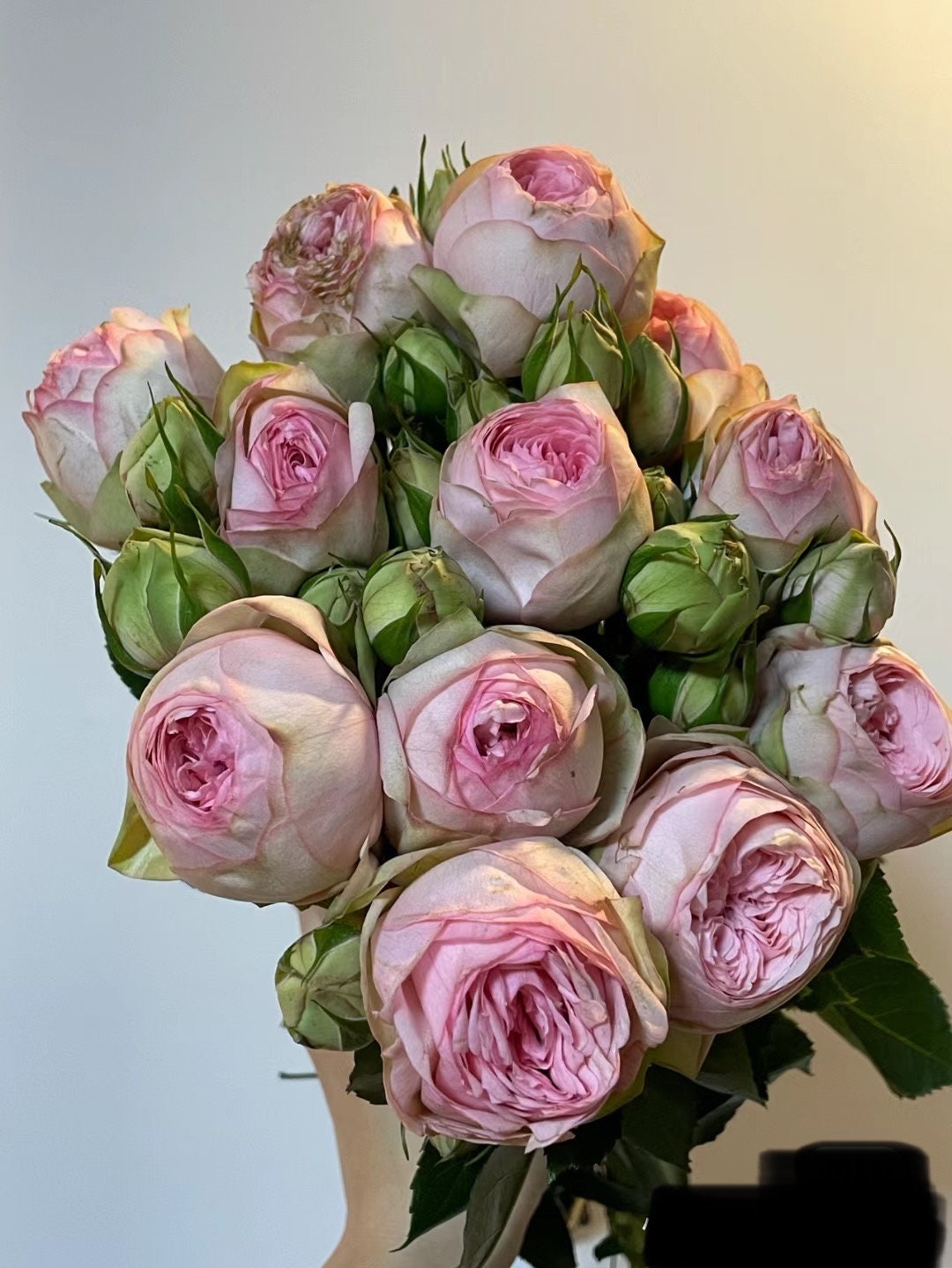 ♡Rose rose♡ RosePixie55 - Etsy
