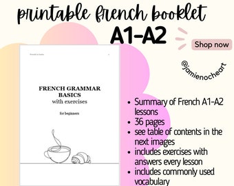 French booklet A1-A2 beginner grammar lessons and vocabulary for learning french [DIGITAL COPY]