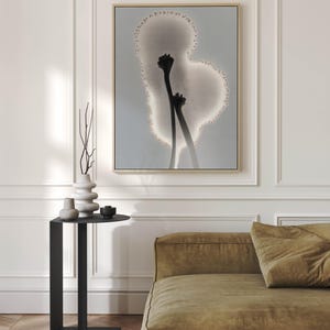 Framed Canvas Print Botanical Modern Minimalist Art Contemporary Wall Decor Neutral Japandi Wall Art Floral Abstract Art Print Calm
