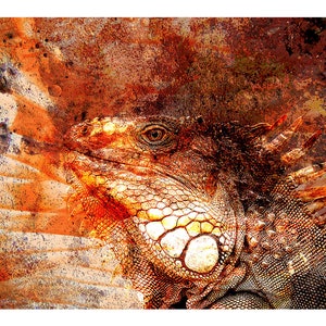IGUANA DECOR POSTER | Reptil Animal Decor | Iguana Decor Sheet | Animal Digital Art | Digital Downloadable Iguana Decor Poster Artwork