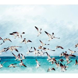 DECORATIVE SEAGULL ART | Marine Bird Poster | Seagull Decor Sheet | Animals Digital Art | Digital Downloadable Bird Seagull Decor Poster
