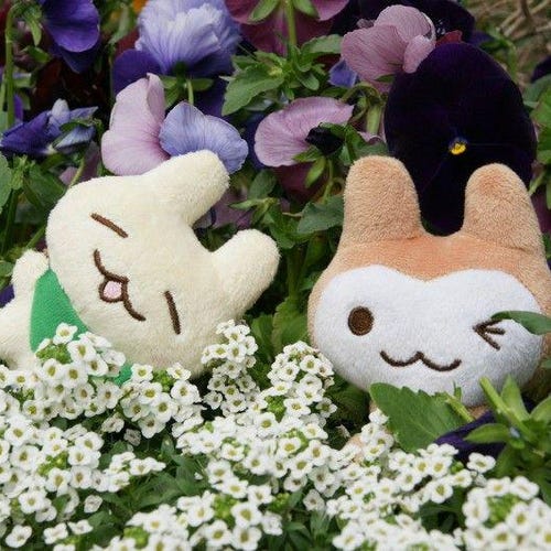 Rilakkuma San-x Licensed Korilakkuma Sea Otter Plush Doll - 13