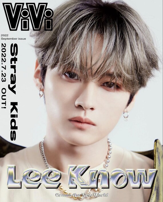 straykids ハン vivi ポストカード スキズ StrayKids HAN ハン ViVi ポストカード【雑誌2冊付き