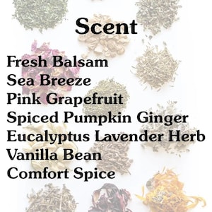 K&ouml;nnte beinhalten: Ein wei&szlig;er Hintergrund mit verschiedenen getrockneten Kr&auml;utern und Gew&uuml;rzen, die jeweils mit einem Duft gekennzeichnet sind: Frischer Balsam, Meeresbrise, Rosa Grapefruit, Gew&uuml;rzter K&uuml;rbis-Ingwer, Eukalyptus-Lavendel-Kraut, Vanilleschote und Wohlf&uuml;hlgew&uuml;rz.