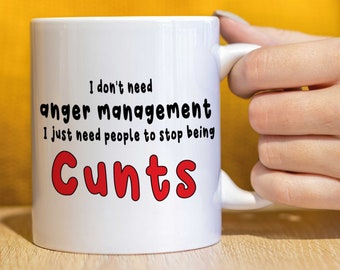 Rude mug, funny mug, Birthday gift, gift for him, gift for her, coffee mug, insulting gift I don&#39;t need anger management.. - CMUG62