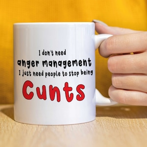 Rude mug, funny mug, Birthday gift, gift for him, gift for her, coffee mug, insulting gift I don&#39;t need anger management.. - CMUG62