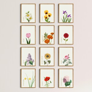 ヴィンテージ春の花柄ウォールアート | 印刷可能 | 植物ミニマリスト絵画 | アンティークデジタルダウンロード | アーティストによる再解釈イラスト