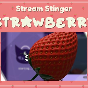 Strawberry Themed Stinger Transition | Twitch Overlays | Cute Fruit | OBS | StreamElements | Summer | Matte Stinger - WEBM format