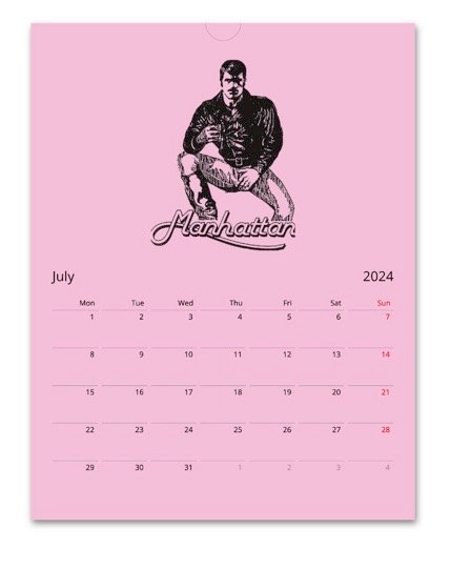 Vintage Gay Calendar, 2024 Pink Retro Magazine Gay Calendar, Cute Gay