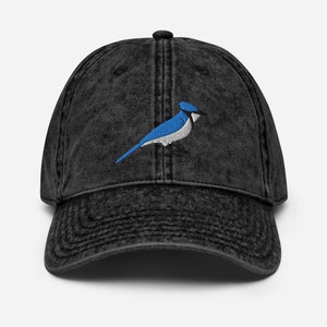 Blue Jay Hat, Red Bird Vintage Cotton Twill Cap, Birder Hat, Cute Birders gift.