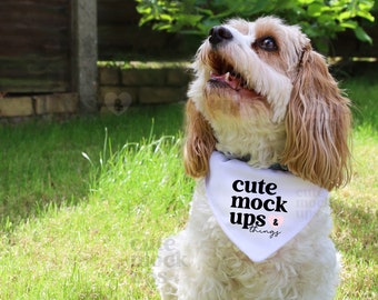 Dog Bandana Mock Up | JPEG Mockup | Dog Neck Scarf Flattened Mock Up | Styled Pet Bib Mock Up Photography