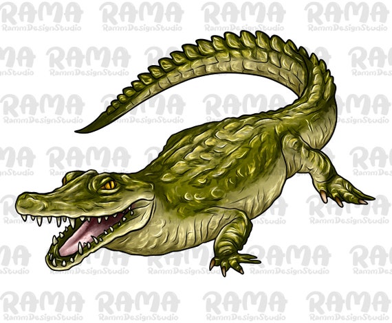 Crocodile Png Sublimation Design,crocodile Png,alligator Png