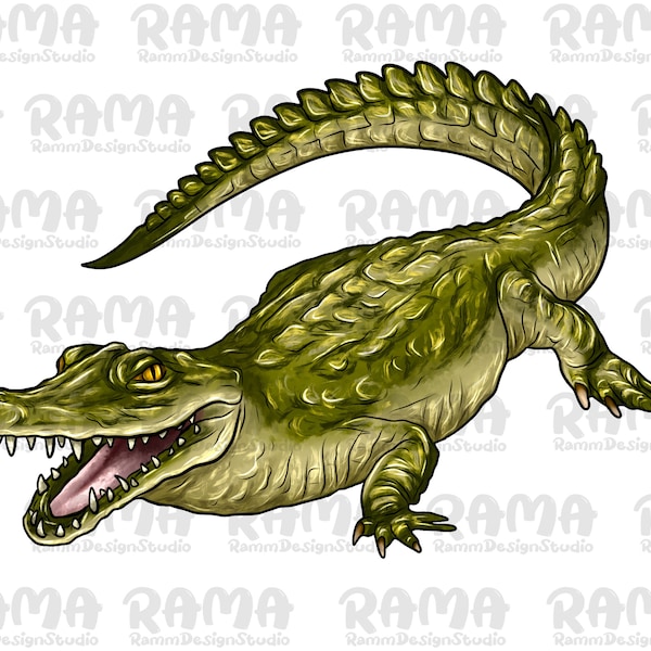 Diseño de sublimación de cocodrilo Png,Cocodrilo Png,Png de cocodrilo,Clipart Png de cocodrilo,Cocodrilo dibujado a mano Png,Retrato de Gator,Descarga digital