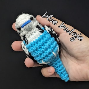 Crochet Budgie Parrot Amigurimi