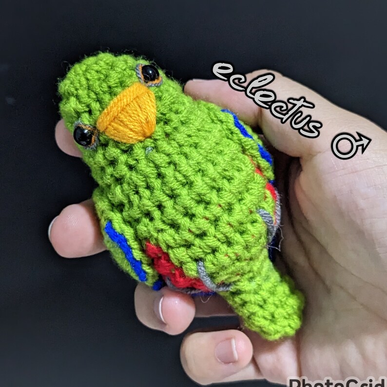Op de afbeelding: Een gehaakte groene papegaai met rode, blauwe en grijze accenten. De papegaai heeft een gele snavel en zwarte ogen. De tekst "eclectus ♂" staat op de hand die de papegaai vasthoudt.