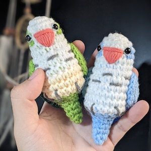 Crochet Quaker Parrot Amigurumi