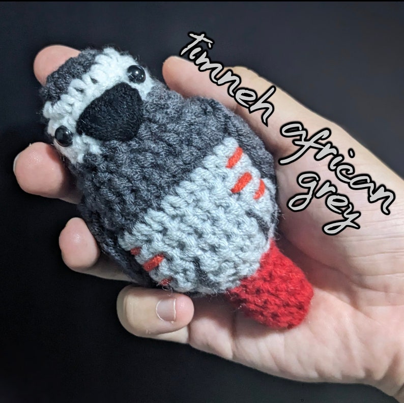 May include: A crocheted gray and red bird toy, with the text "timneh african grey" written on the hand holding the toy.
