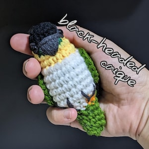 Può includere: Un uccello all'uncinetto fatto a mano a forma di conuro dalla testa nera. L'uccello ha la testa nera, il corpo giallo e bianco e le ali e la coda verdi. Il testo "black-headed conure" è scritto in corsivo sull'immagine.