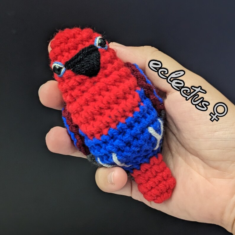 Op de afbeelding: Een gehaakt knuffelpapegaai-speelgoed met rode, blauwe en witte veren. De papegaai houdt een klein, wit bordje vast met de tekst "eclectus ".