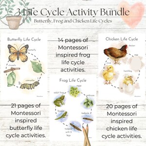 Life Cycle Bundle: Explore Life Cycles of Frogs, Butterflies, and Chickens with 55 Engaging Activity Pages - Ideal for Home and School!