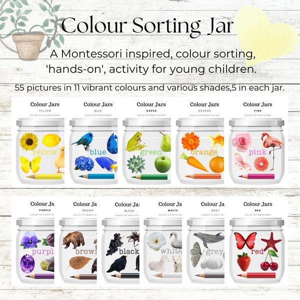 Colour Sorting Jars - A Montessori-Inspired Educational Toy with Pictures of Nature, Lower Case Lettering and Vibrant Colours