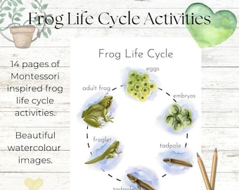 Hop into Learning with Our Frog Life Cycle Mini Unit - Ideal for Children Who Love Nature, School, Home, and Homeschooling!