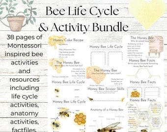 Montessori Wooden Bee Life Cycle Puzzle For Kids 3-6