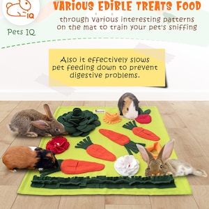 Rabbit Forage Mat, Bunny Toy - Snuffle Mat For Guinea Pig, Toy For Small Pet Enrichment Mind Stimulating Boredom Breaker, Interactive Mat