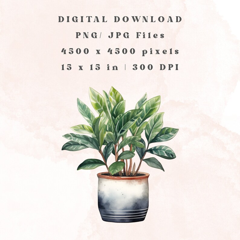 May include: A watercolor illustration of a potted plant with green leaves in a blue and white ceramic pot. The plant is 15 inches tall and the image is 4500 pixels wide.