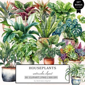 Imágenes prediseñadas de plantas de interior de acuarela, imágenes prediseñadas de plantas en macetas, imágenes prediseñadas botánicas, imágenes prediseñadas de jardín png, diario basura, medios mixtos, descarga digital