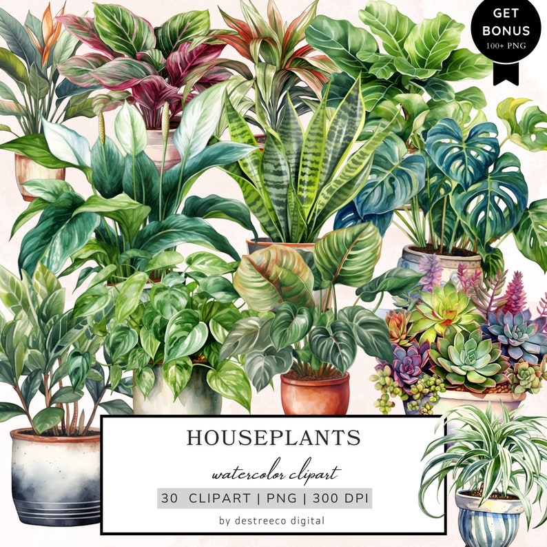 May include: A watercolor clipart set of 30 houseplants, including a variety of green, red, and white plants in pots. The clipart is 300 DPI and includes a bonus of 100+ PNG files.