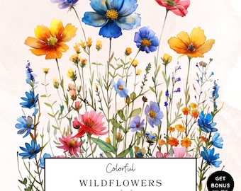 Clipart di fiori di campo dell'acquerello, clipart primaverile, pacchetto di clipart di fiori di campo colorati, Png floreale estivo, clipart botanica, download digitale